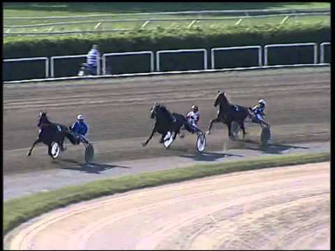 Trotto 07/09/2014 - Prova di qualifica