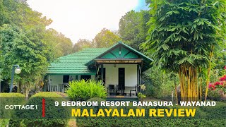 Black Stone Review Video 1 Black Stone Review Video 1