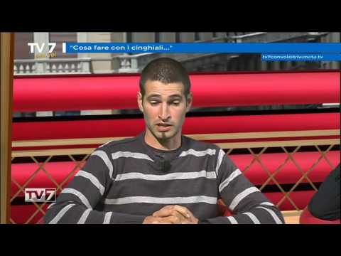 Tv7 con Voi del 26/10/2016 - Cosa fare con i cinghiali (2 di 3)