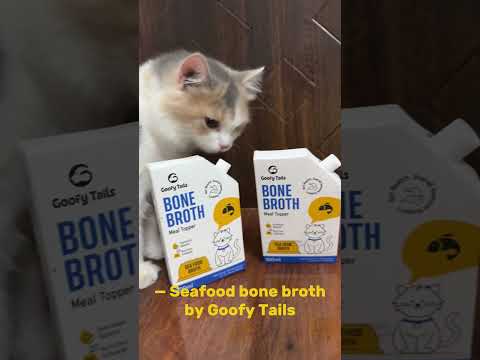 Sea Food Bone Broth