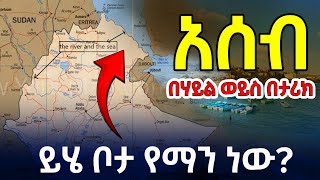 Download lagu አሰብ| በሃይል ወይስ በታሪክ| Asab: Navigating the Right to Access the Sea @betehabeshaofficial ዶክመንተሪ mp3