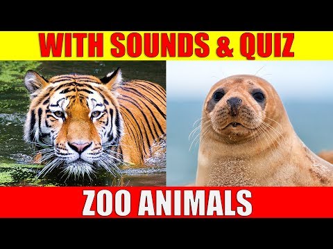 image-Do Zoo animals have names?