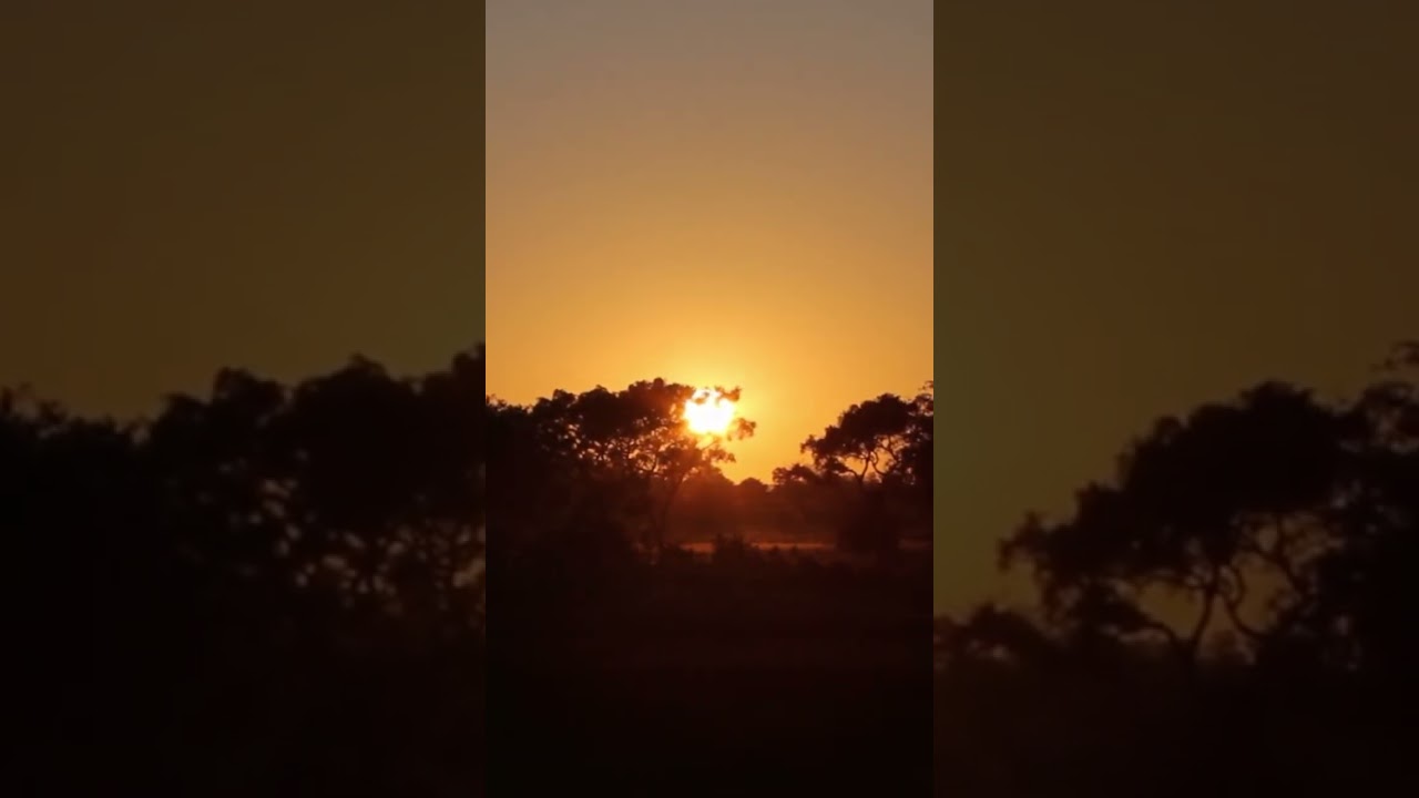 SLEEP OUT SAFARI (APPROVED)