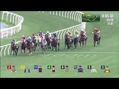 5/4/2021 (563) Amazing Star - V Borges (G2, The Sprint Cup)