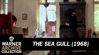 Preview Clip | The Sea Gull | Warner Archive
