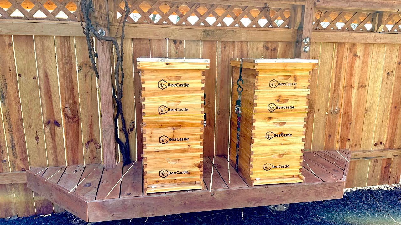 BeeCastle Bee Hive Box (with windows) Assembly And Set Up ~ how to start beekeeping ￼