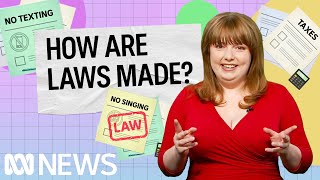 How are laws made | Politics Explained (Easily) | ABC News