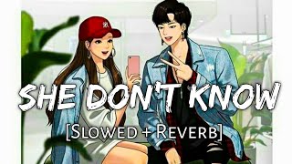 She Don&#39;t Know [Slowed +Reverb] - Millind Gaba | Shabby | Chill with Beats | Textaudio