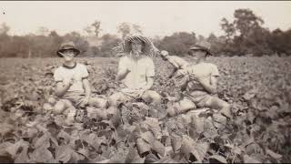 Working for the Man – Roy Orbison lyrics