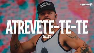 Calle 13 - Atrevete te te (Letra)