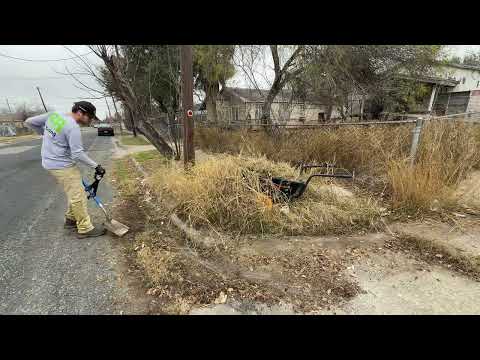 I Tried to Help… The Neighbor Tried to Stop Me