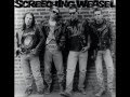 Screeching Weasel- Chain Saw