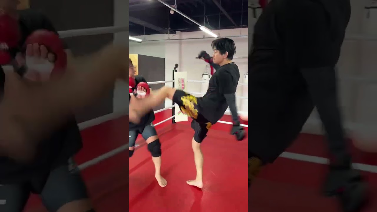 ブレイキングダウン19名古屋大会に向けて