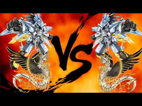 Dragon FTK vs Dragon Link