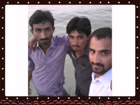 Shar wich rola pegaya