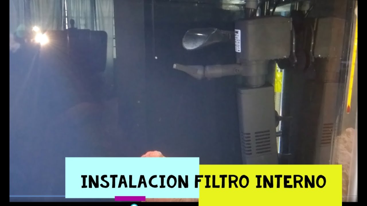 COMO INSTALAR Y FUNCIONAMIENTO DE UN FILTRO INTERNO / HOW TO INSTALL AND OPERATE AN INTERNAL FILTER