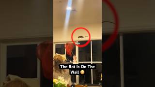 Rat ATTACKS A Whole Family..