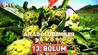 Anadoludakiler 13. Bölüm | İzmir | NTV
