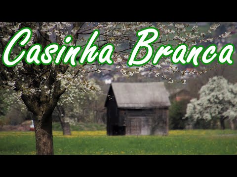 Casinha Branca Gilson Original Eu tenho andado tão sozinho ultimamente