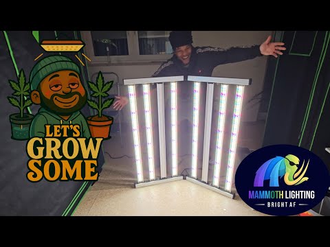Let’s Grow Some Ep.9 | HUGE Light Upgrade! Mammoth 950W 8-Bar w/ Spectrum Tuning
