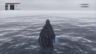 コメント拾いつつbloodbornクリア目指します [bloodborn]#11