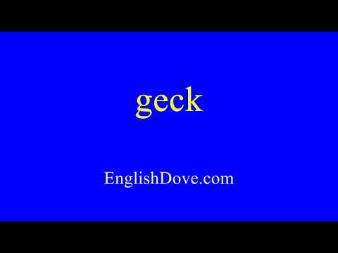 How to pronounce geck in American English
