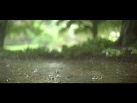 All Star by Smashmouth but it's chill