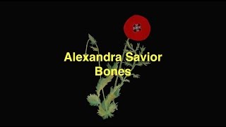 Alexandra Savior - Bones [Lyric Video]
