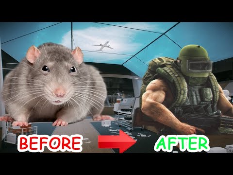 HOW to BECOME a CHAD in TARKOV