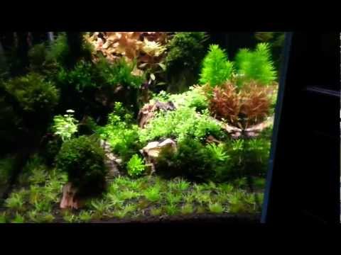 Watch Video on YouTube