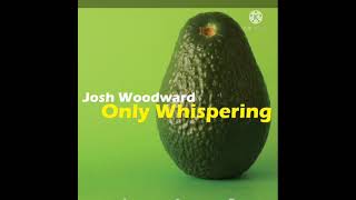 Josh Woodward - Goodbye To Spring (INSTRUMENTAL)