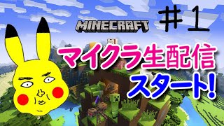 #001 マイクラ初心者、エンダードラゴン討伐までの記録。