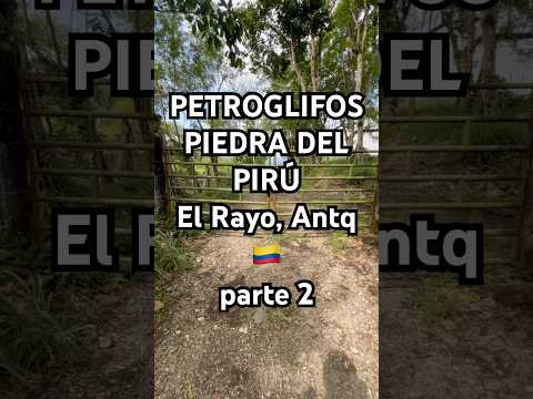 PETROGlIFOS, PIEDRA DEL PIRÚ (parte 2), Vereda El Rayo, Támesis, Antioquia 🇨🇴 Colombia
