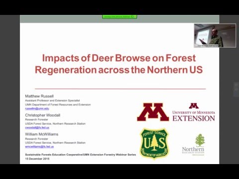 Impacts of Deer Browse on Forest Regeneration across the Northeastern US
