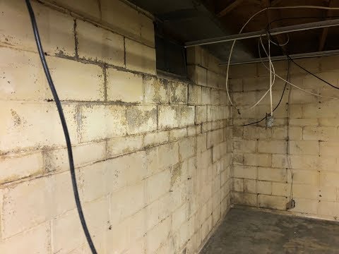 Water Intrusion in Basement of Evansville, IN