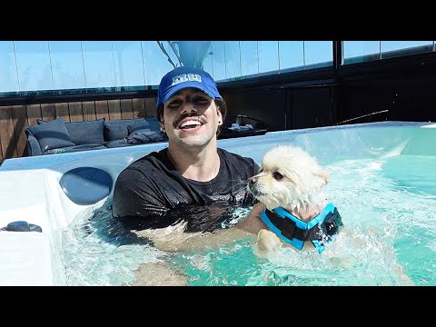 Ensinando meu cachorro a nadar pela primeira vez