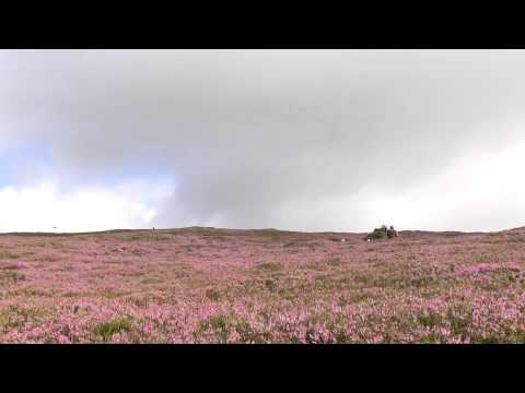 Grouse Shooting.See how fast the action is.