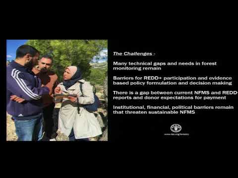 A Tree Talk by Julian Fox - YouTube