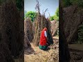 Manisha Meena Meena Song Meena Geet Meena Dance Video Meena Tiktok Dance Video Meenawati Song