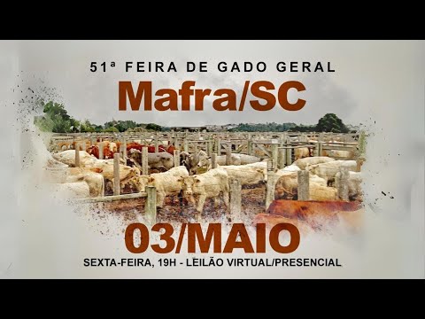 Leilão AO VIVO - Mafra 03/05/2024 | Tarumã Remates