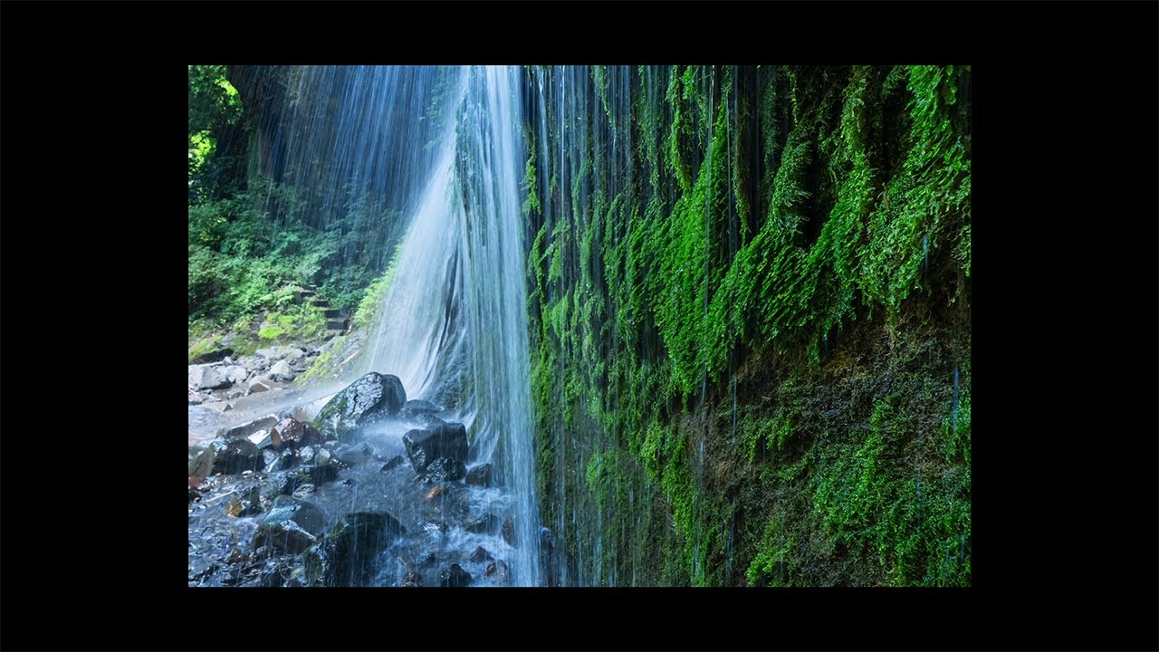 α:レンズレビュー FE 16-35mm F2.8 GM II by 清家道子氏【ソニー公式】