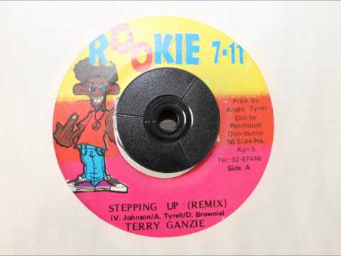 TERRY GANZIE - STEPPING UP (REMIX)