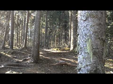 Texas Chainsaw Massacre: 3D Official Trailer 1 [HD]