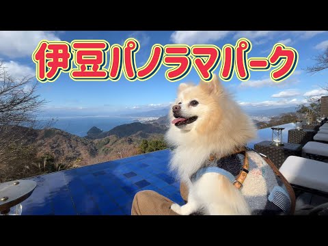 YouTube動画を再生