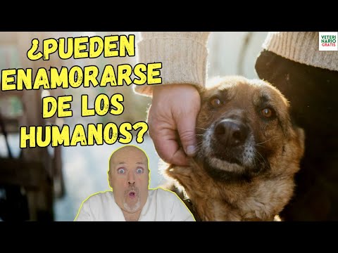 💘 ¿LOS PERROS SE ENAMORAN DE LOS HUMANOS? ¿COMO SIENTEN EL AMOR? 💘
