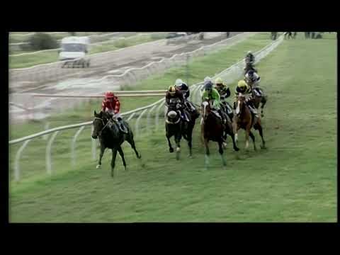 Napoli Galoppo 27/12/2021 - 4ª corsa