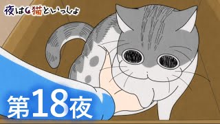 ごろごろいっとる 段ボール好きなの!って話しかけたくなる - アニメ『夜は猫といっしょ』第18夜「どいてくれないネコ」