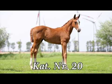 Katalog 20 - 2. Internat  Fohlenauktion 2014 der Hengststation Hell und des Stalles Björn Nagel