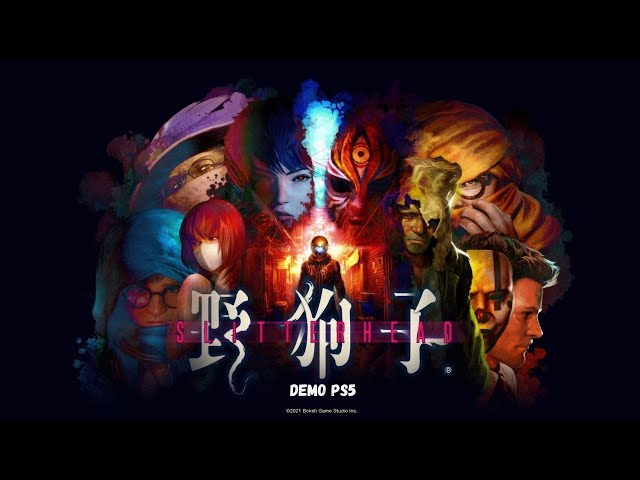 Video preview