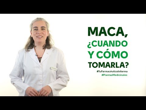 Starbien Beneficios Y Formas De Tomarse Solo O Mezclado Recomendaciones, Recetas Y Mas Faqs 7 Maca, cuándo y cómo debemos tomarla